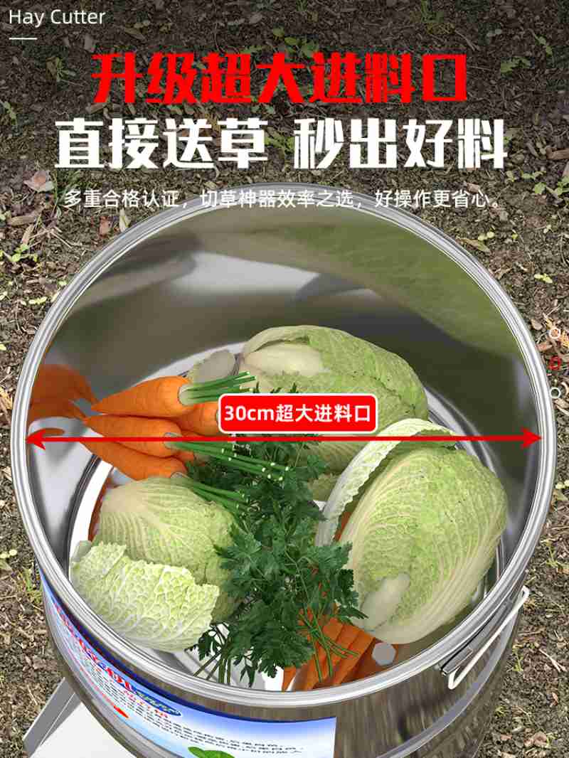 “淘学企鹅”巡游