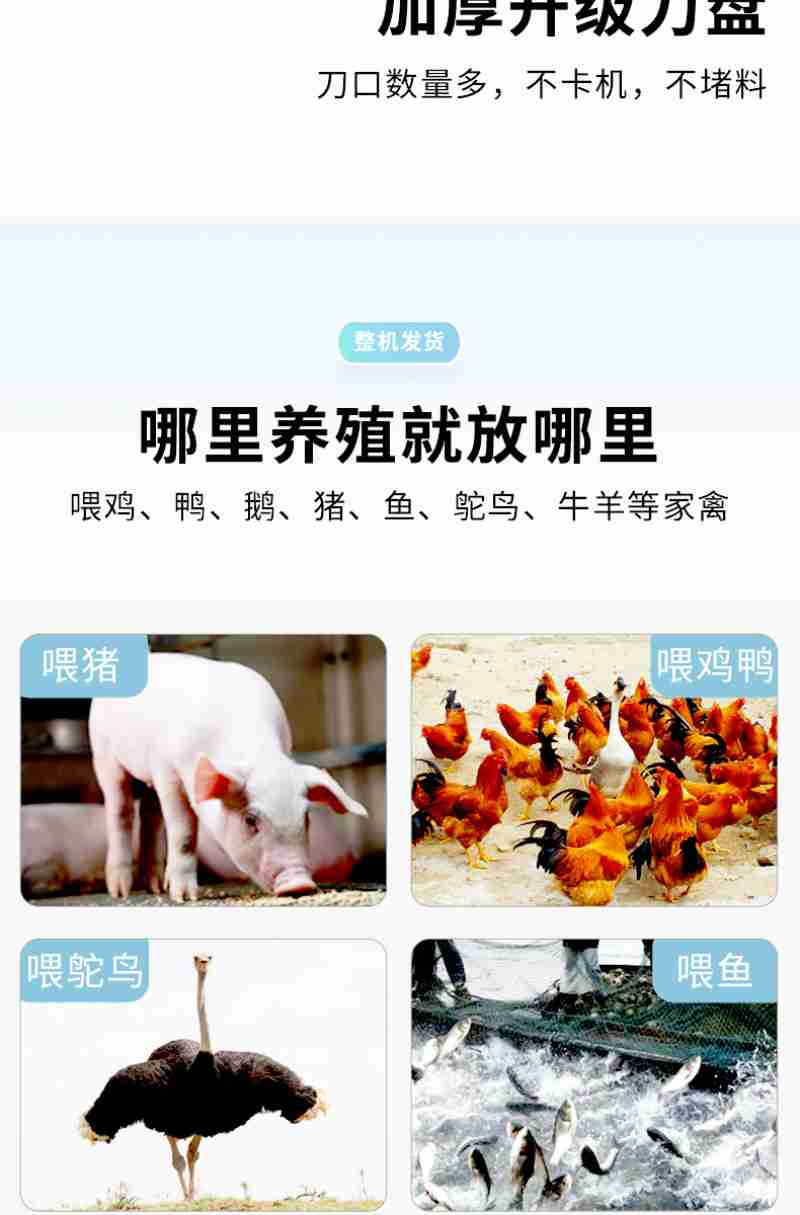 图为西藏山南市乃东区门中岗社区的春耕仪式现场(3月16日摄)。新华网 旦增努布 摄