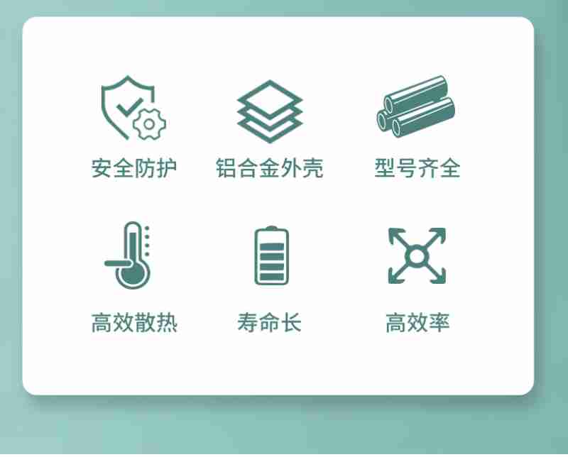玉溪通海蔬菜基地一片生机勃勃。记者 陈飞 摄